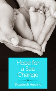 Hope for a Sea Change cover art